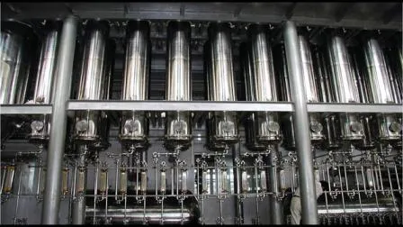 Ginseng Root Extract with Immune-Enhancing Effects Used in Functional Food