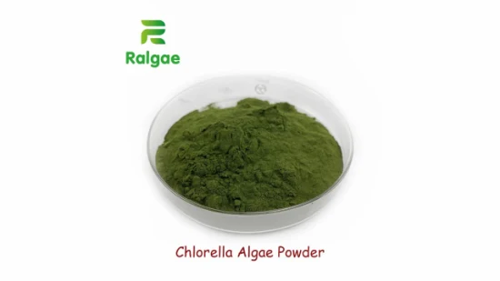 Natürlicher Algenzusatz in Chlorella-Pulver-Futterqualität