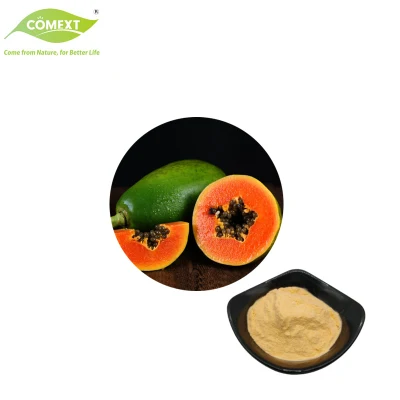 Comext liefert kostenlose Probe des natürlichen Papaya-Extrakt-Enzym-Papain-Pulvers