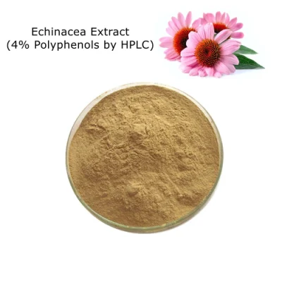 100 % natürlicher Echinacea-Extrakt (4 % Polyphenole durch HPLC) als Lebensmittelzusatzstoffe