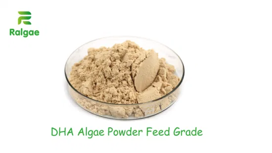 Eierschichten Futterernährungszusatz Erhöhen Sie den DHA-Gehalt im Ei Natürliches DHA-Alage-Pulver Additiv Enhancer CAS6217